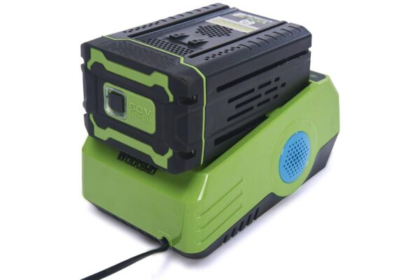 Warrior Eco Battery Charger C8362 L fitted 1